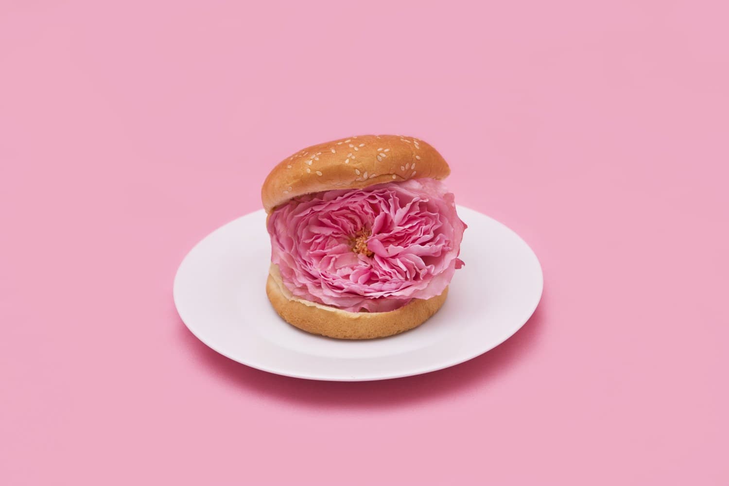 Flower Burger